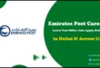 Emirates Post Careers